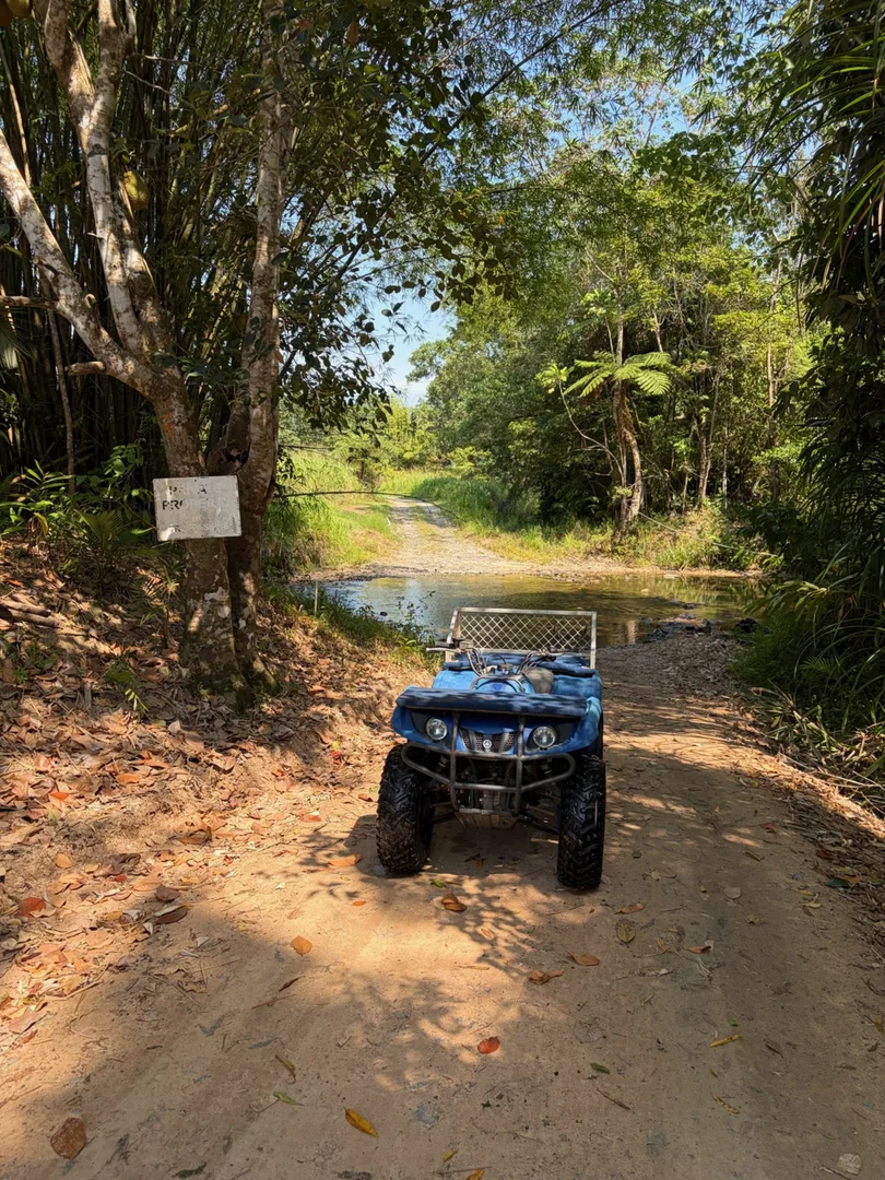 Additional image 2 of 252 Jackson Road, Shell Pocket QLD 4855