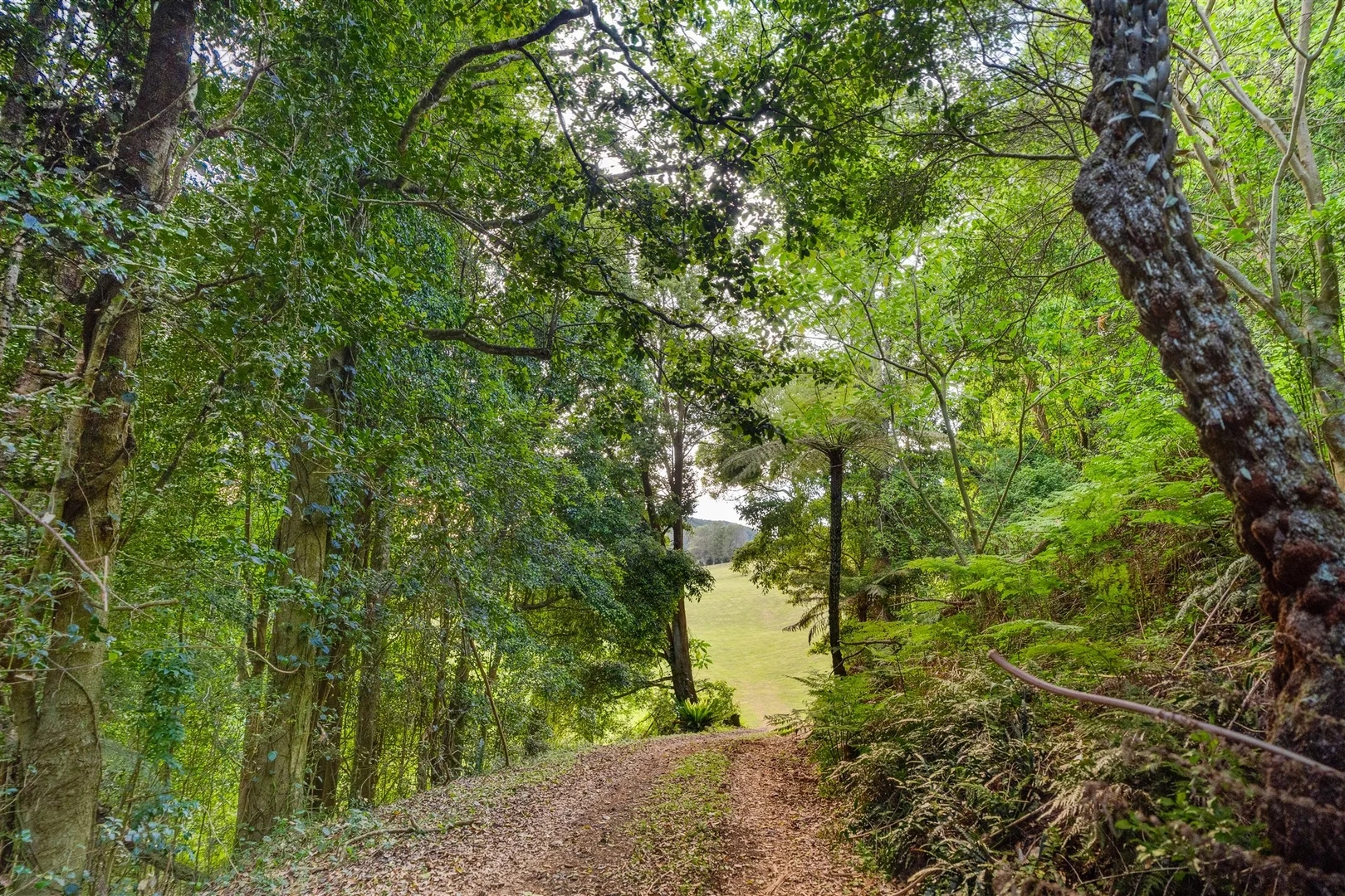 Additional image 10 of 71 Nuninuna Drive, Jamberoo NSW 2533