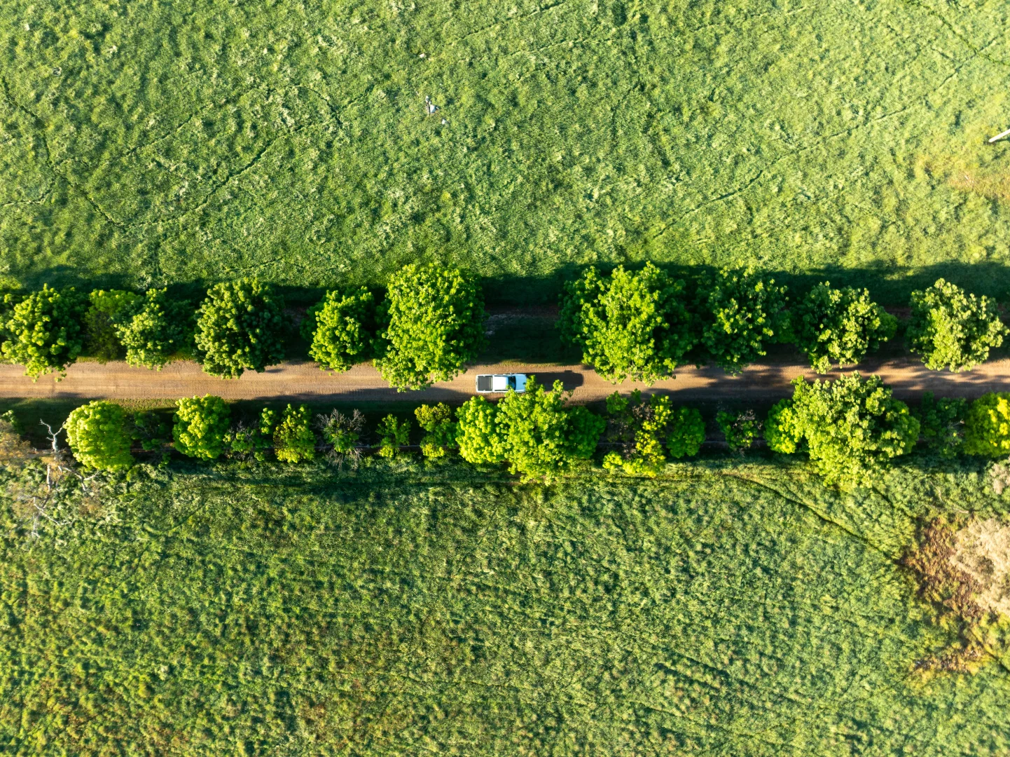 Additional image 27 of 141 Horspool Way, Orange NSW 2800