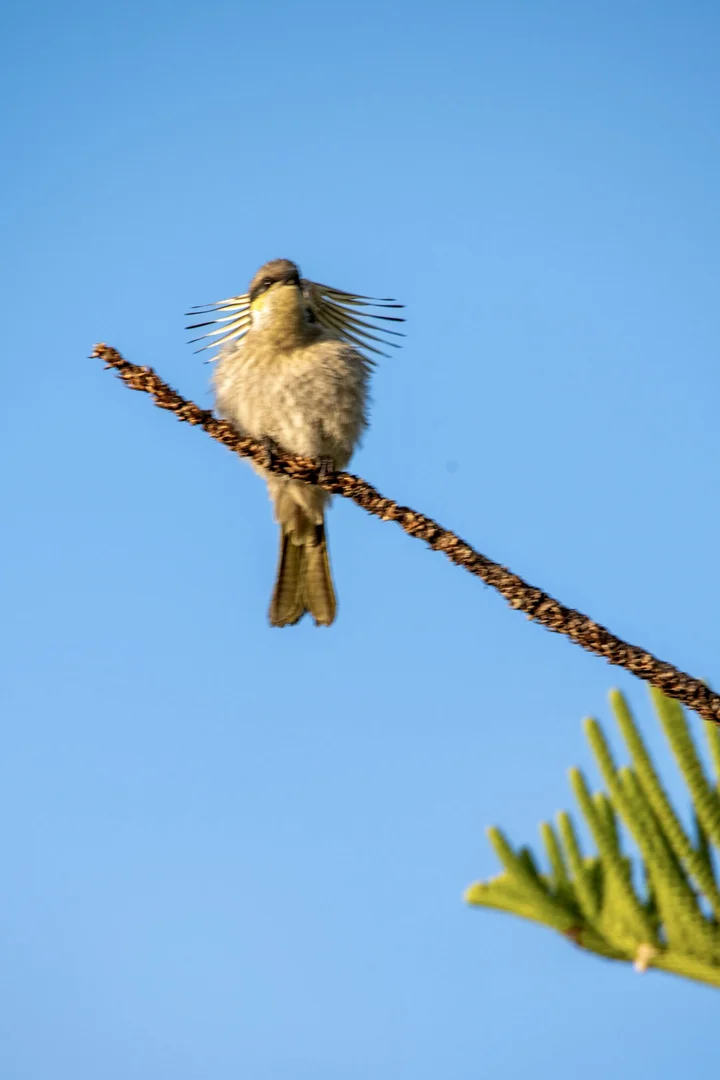 Additional image 65 of 412D Bratten Way, Tumby Bay SA 5605