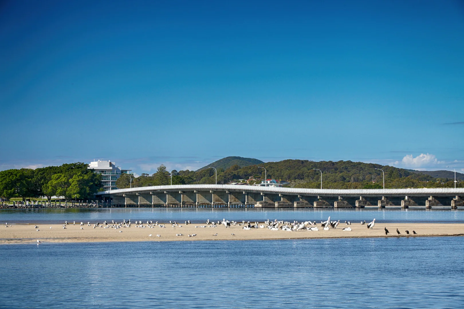 Additional image 5 of 11 Surfside Avenue, Forster NSW 2428