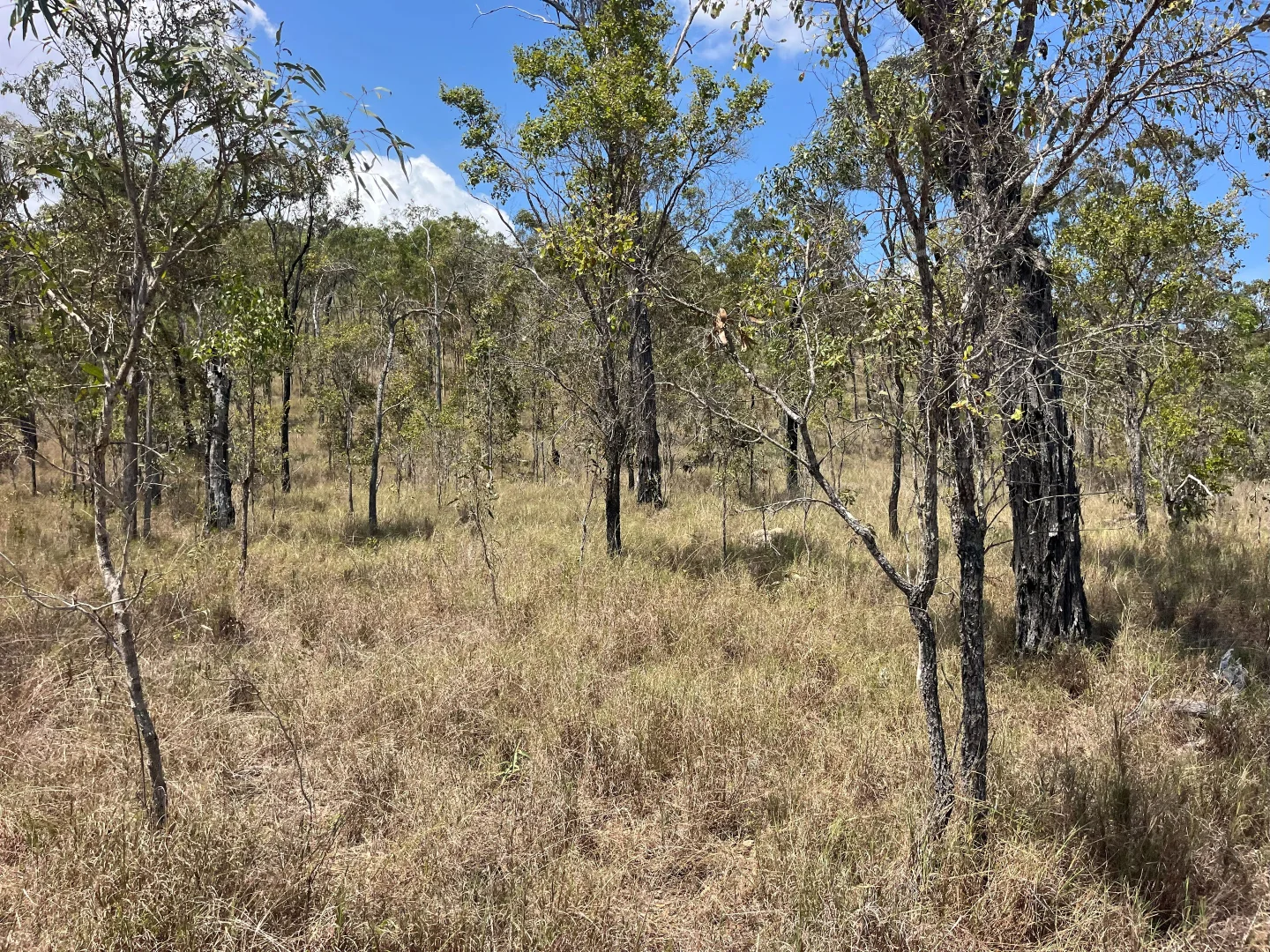Additional image 19 of Blunder Park Station 382 Blunder Park Road, Ravenshoe QLD 4888