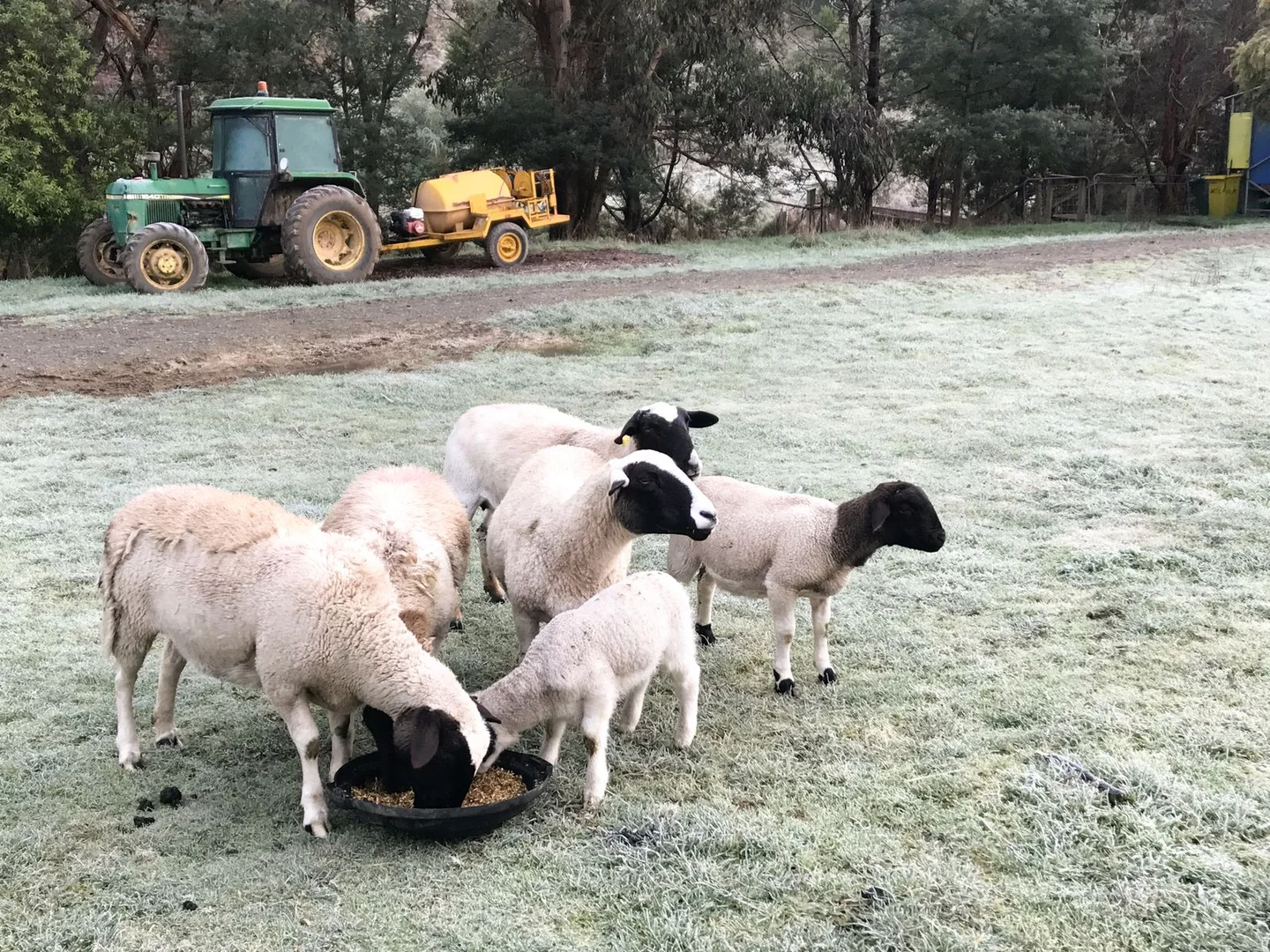 Additional image 26 of 1725 Wild Dog Valley, Strzelecki VIC 3950