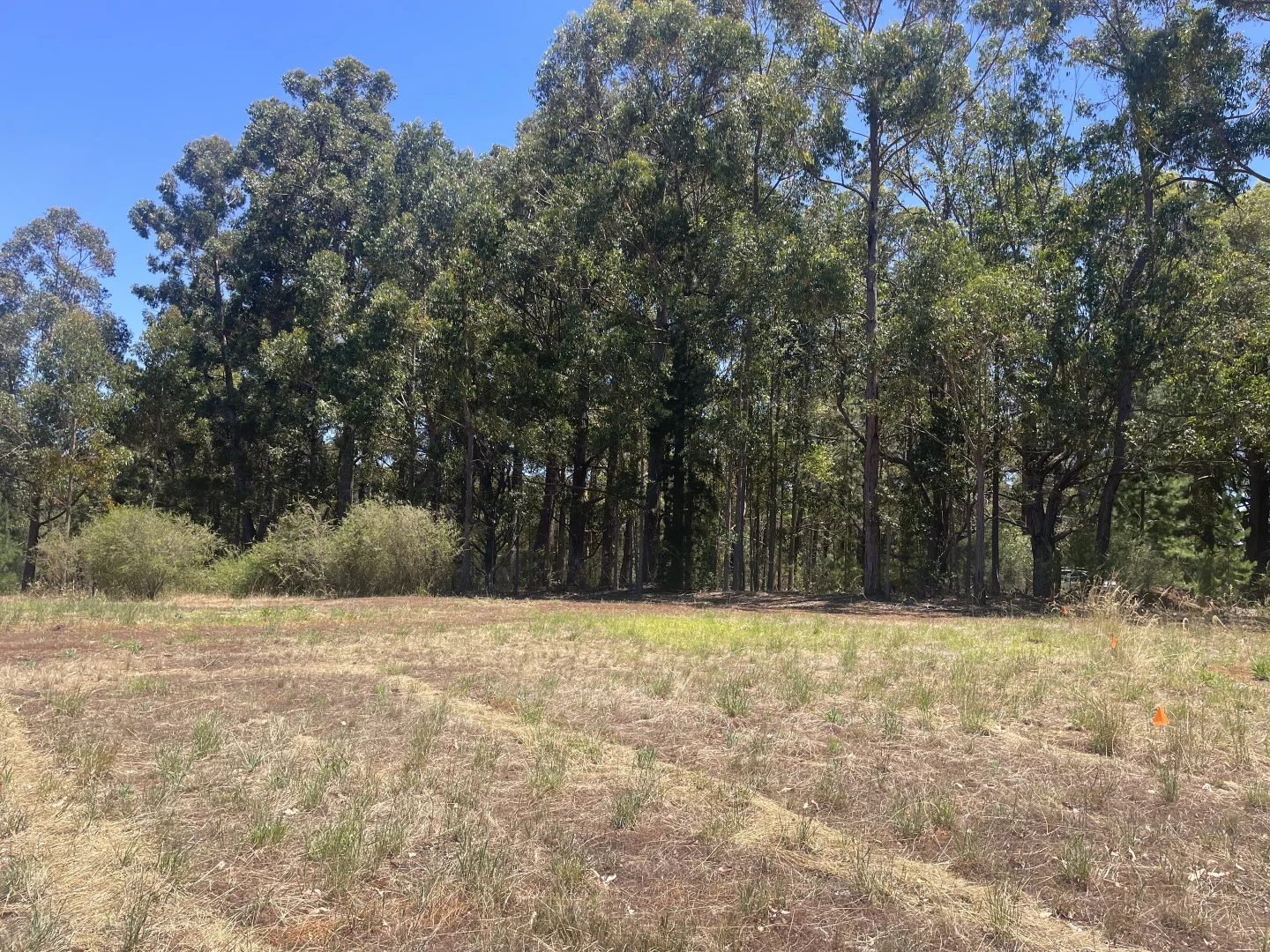 Additional image 5 of Proposed Lots 1-11 Cnr Thornbill Road & Nelson Road, Bridgetown WA 6255