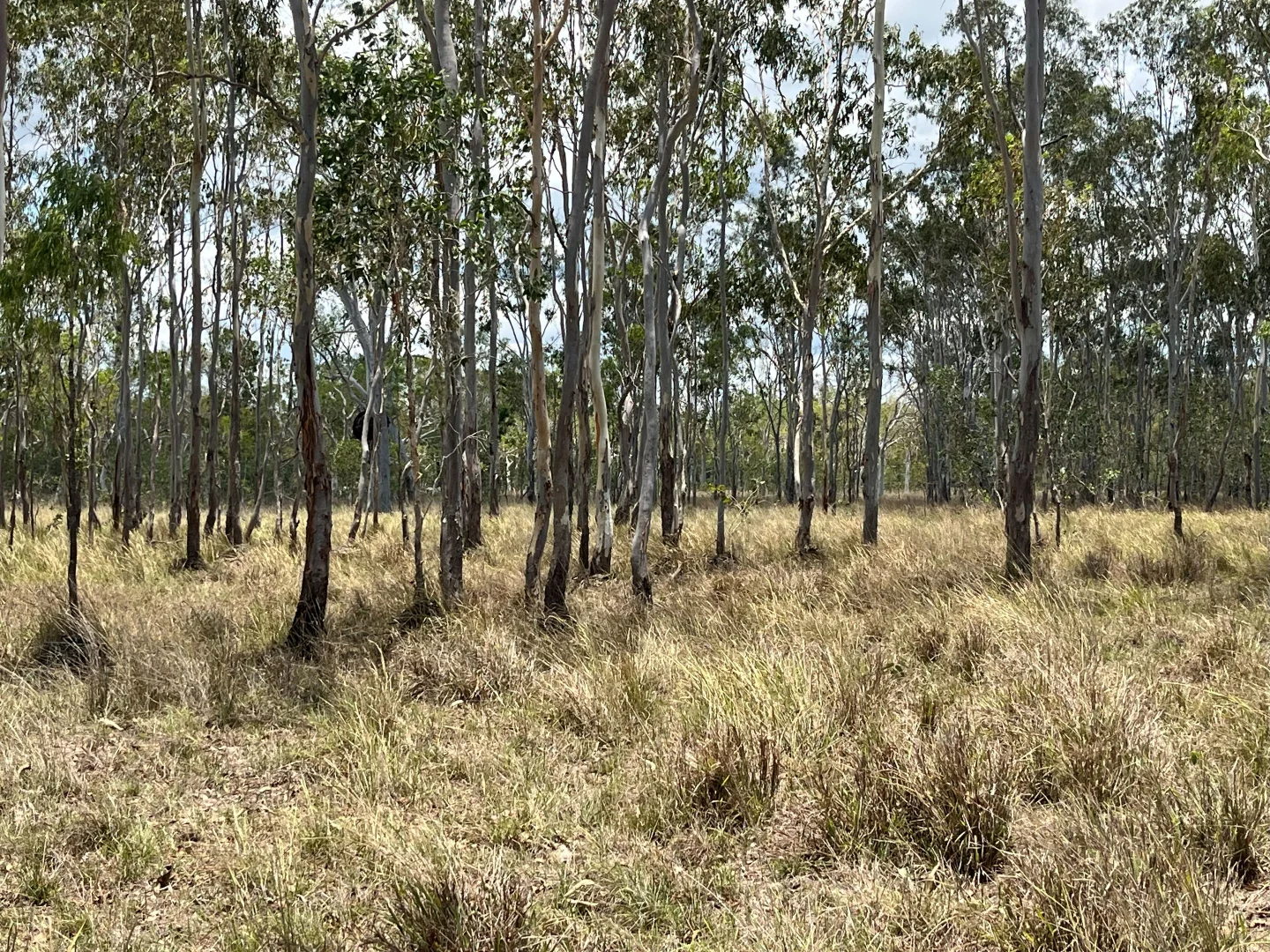 Additional image 7 of Blunder Park Station 382 Blunder Park Road, Ravenshoe QLD 4888