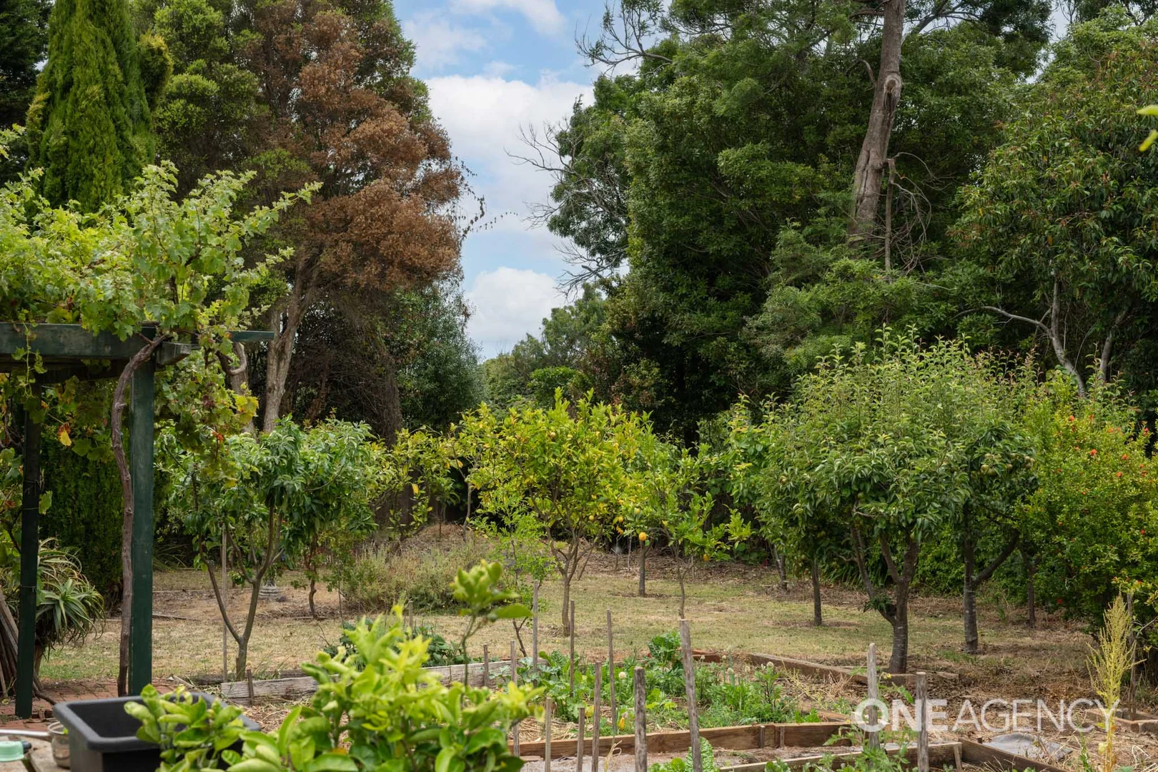 Additional image 29 of 10 Ronald Street, Devonport TAS 7310