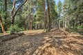 Additional image 47 of 28245 Big Dipper Rd, Colfax, CA, 95713