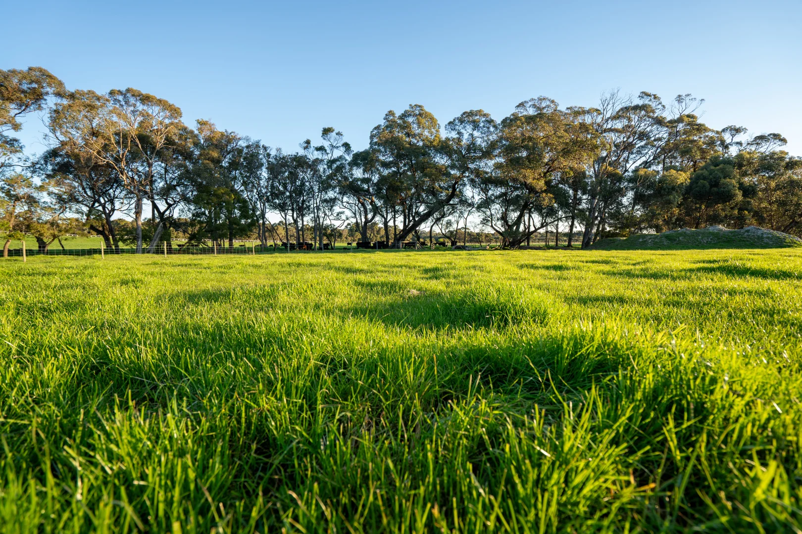 Additional image 21 of 461 Nanarup Road, Kalgan WA 6330