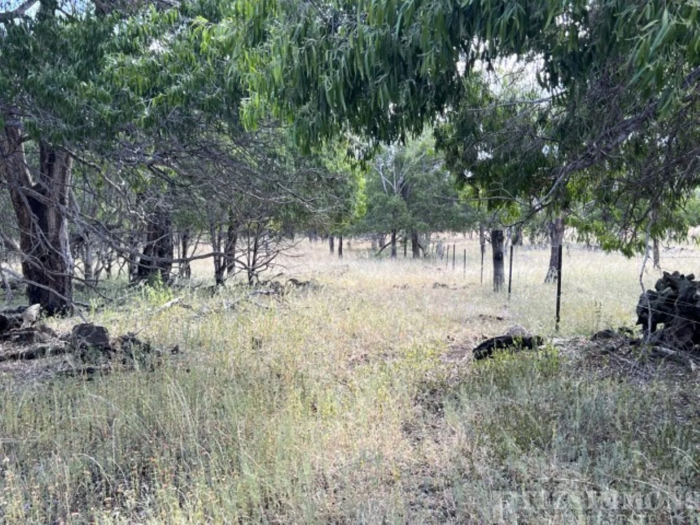 Additional image 3 of 80 Coolibah Way, Dalby QLD 4405