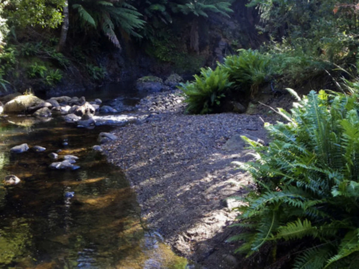 Additional image 31 of 1079 Preston Road, North Motton TAS 7315