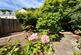 Additional image 16 of Barton, Torquay