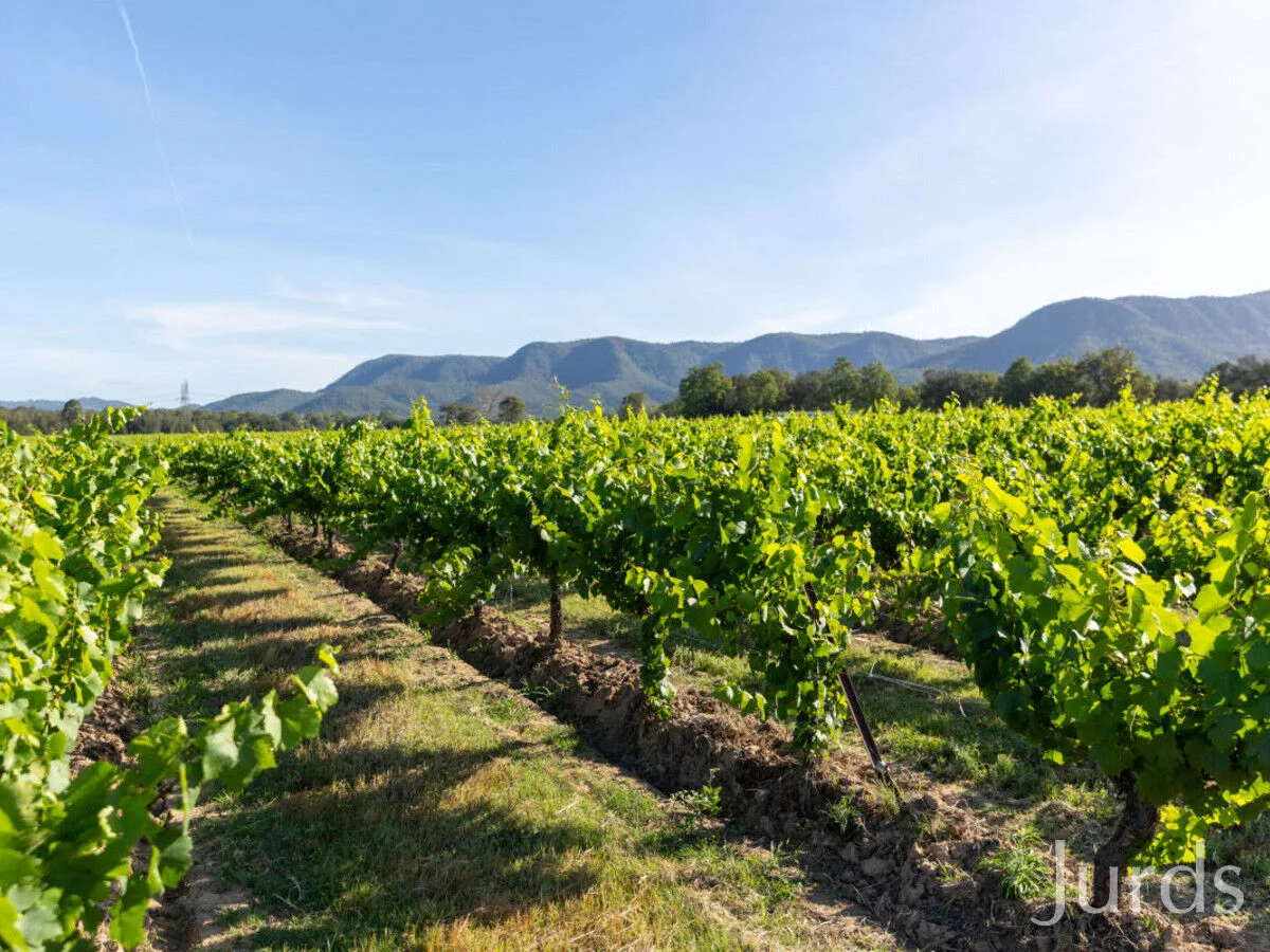 Additional image 8 of 2/DP707940 Hermitage Road, Pokolbin NSW 2320