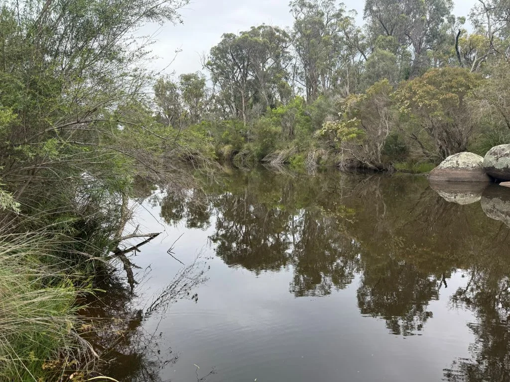 Additional image 5 of Lot/89 Fletcher Road, Ballandean QLD 4382