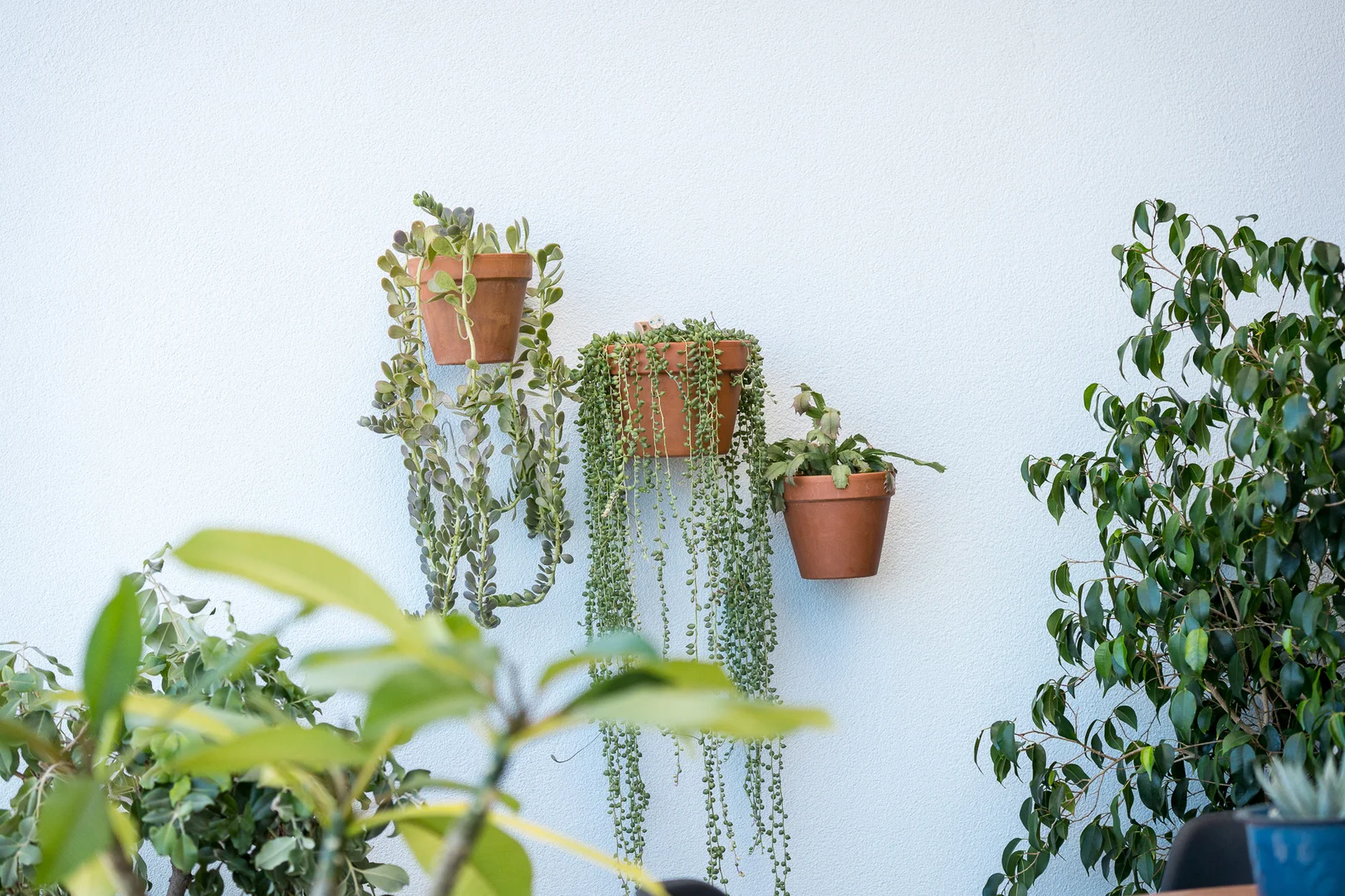 Additional image 16 of 21/359 Oxford Street, Mount Hawthorn WA 6016