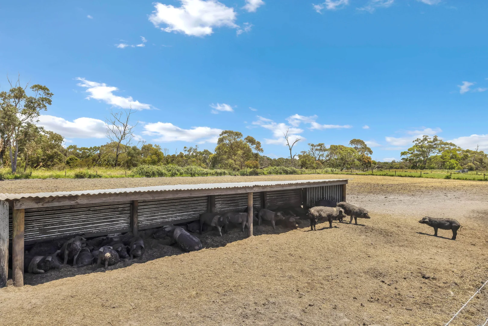 Additional image 20 of 2185 Dalyston-Glen Forbes Road, Glen Forbes VIC 3990