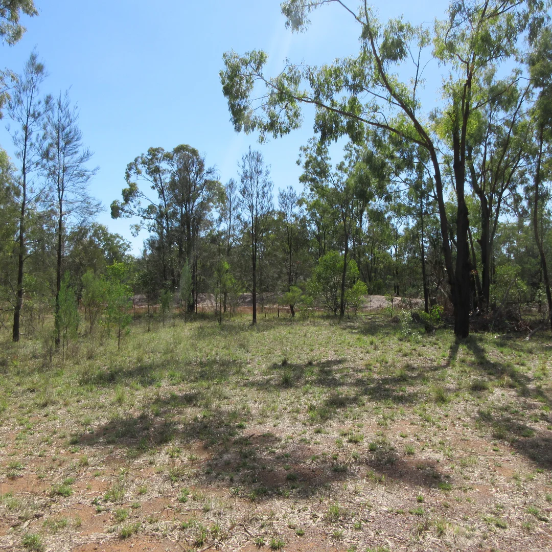 Additional image 15 of Tara QLD 4421