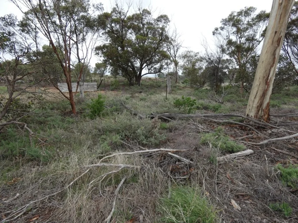 Additional image 9 of Lake View Dr, Hopetoun VIC 3396