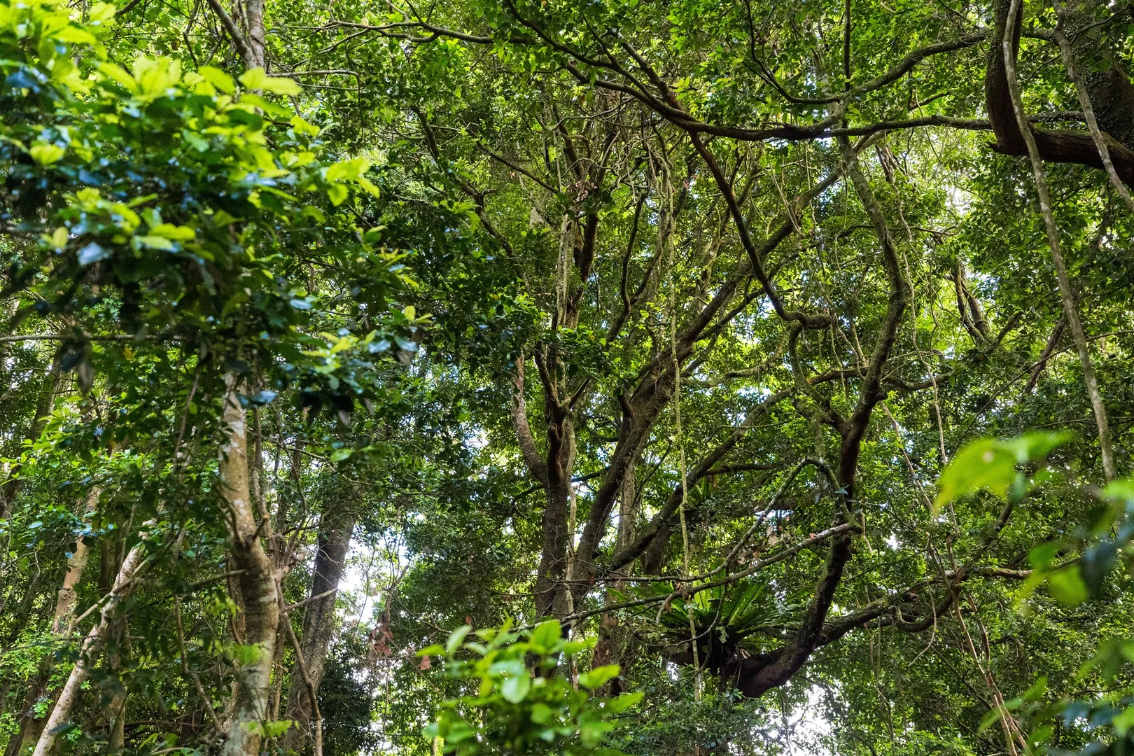 Additional image 12 of 71 Nuninuna Drive, Jamberoo NSW 2533