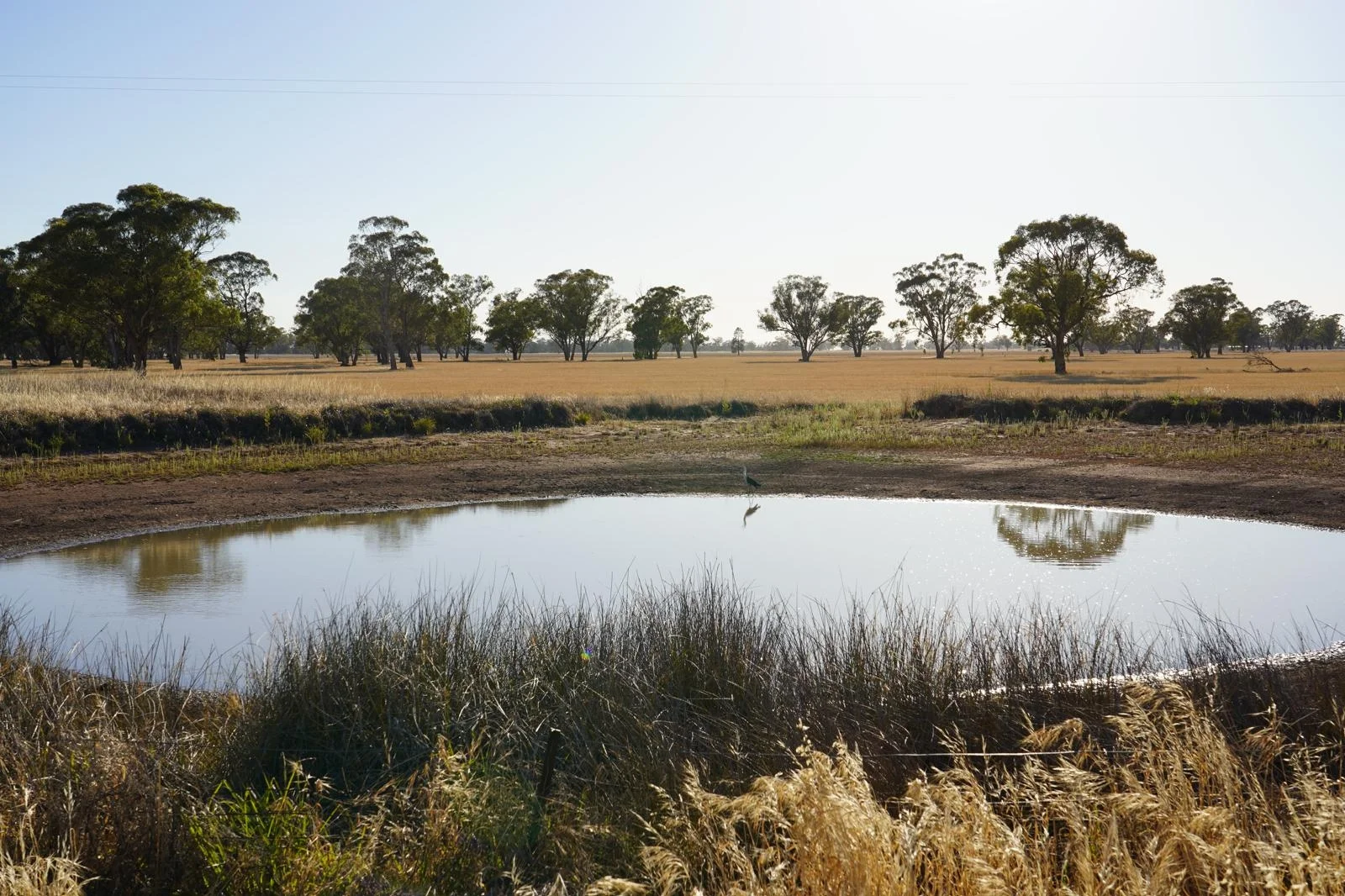 Additional image 11 of Part Woodville Blackstock Hill Road, Peak Hill NSW 2869