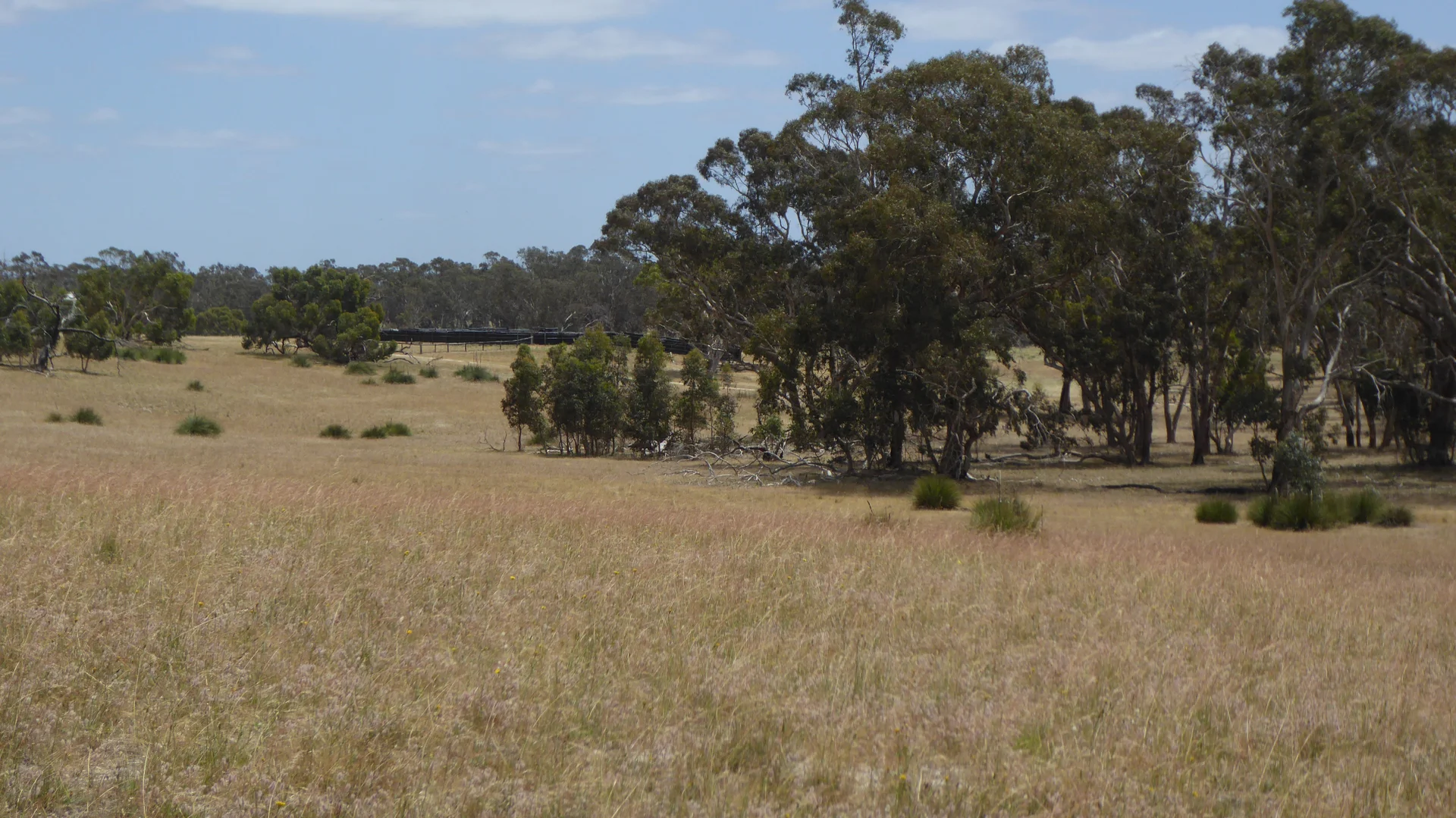 Additional image 16 of Lot 1 Walkington Hills Road, Frances SA 5262