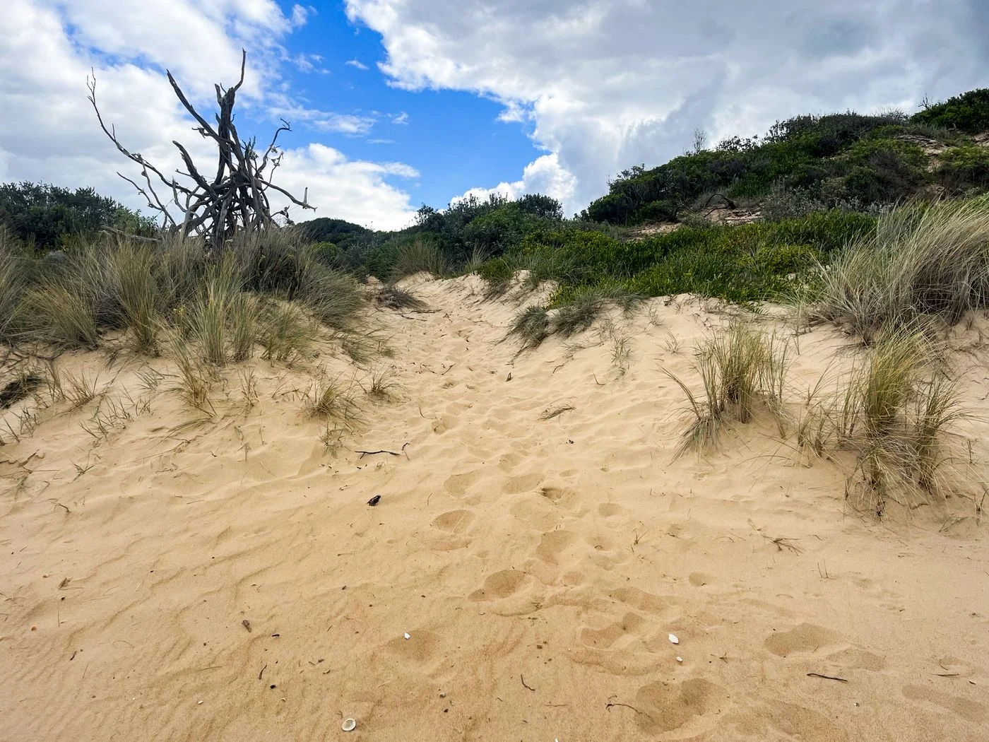Additional image 5 of 324 Shoreline Drive, Golden Beach VIC 3851