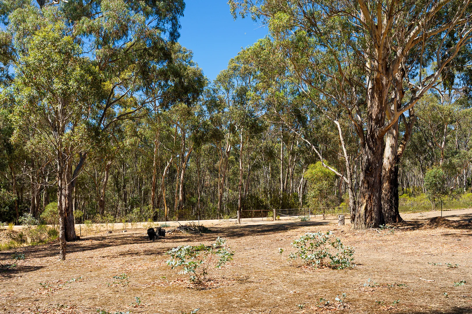 Additional image 18 of 207 Blakeley Road, Barkers Creek VIC 3451
