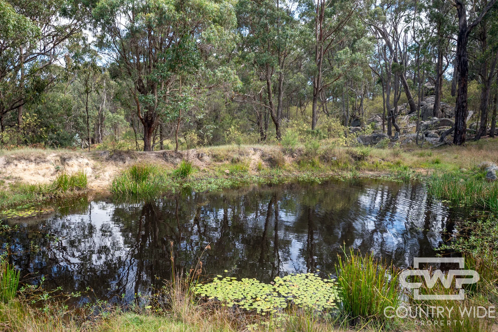 Additional image 23 of 618 Coopers Road, Red Range NSW 2370