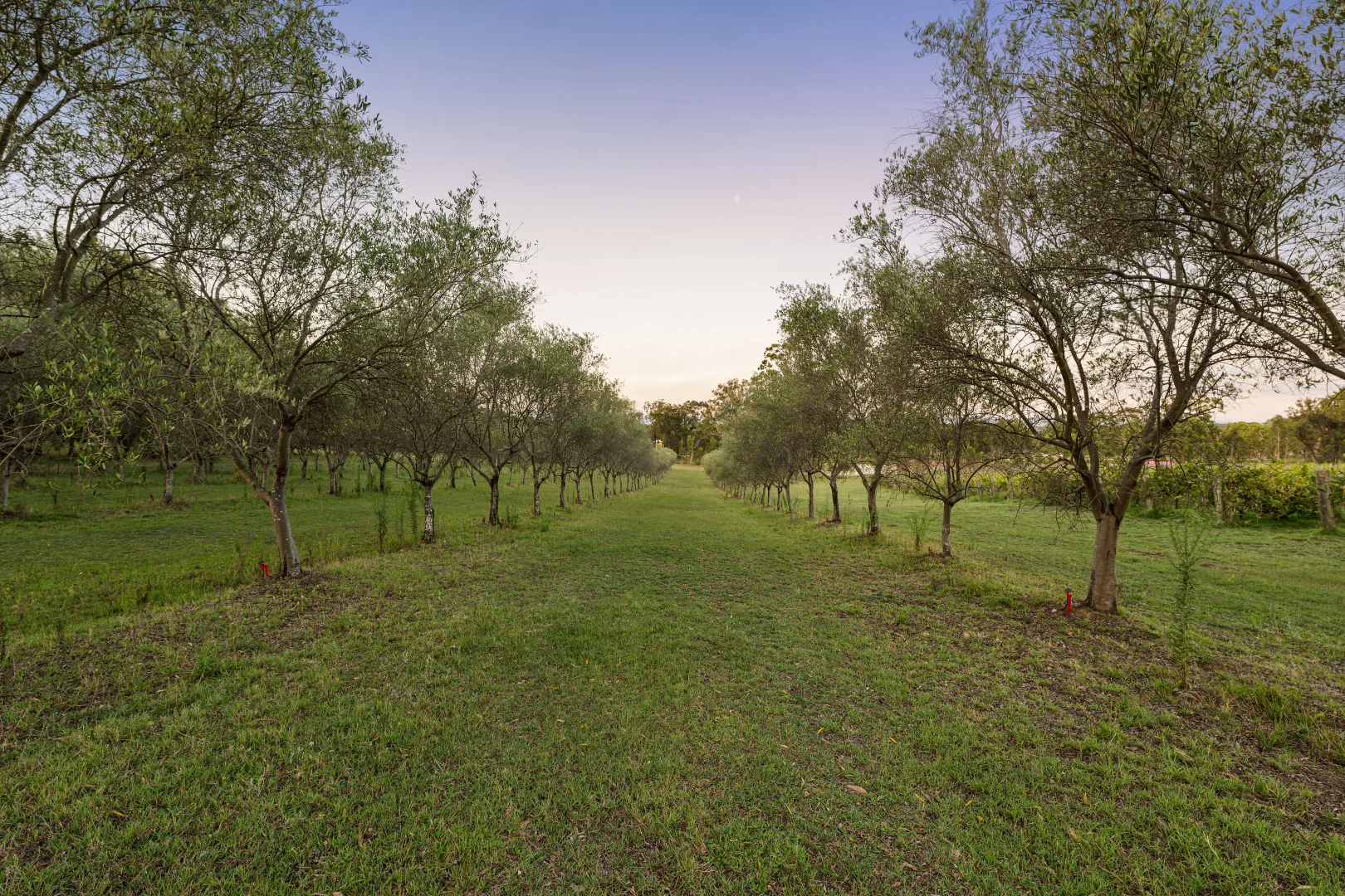 Additional image 41 of 356 Tuckers Lane, Greta NSW 2334