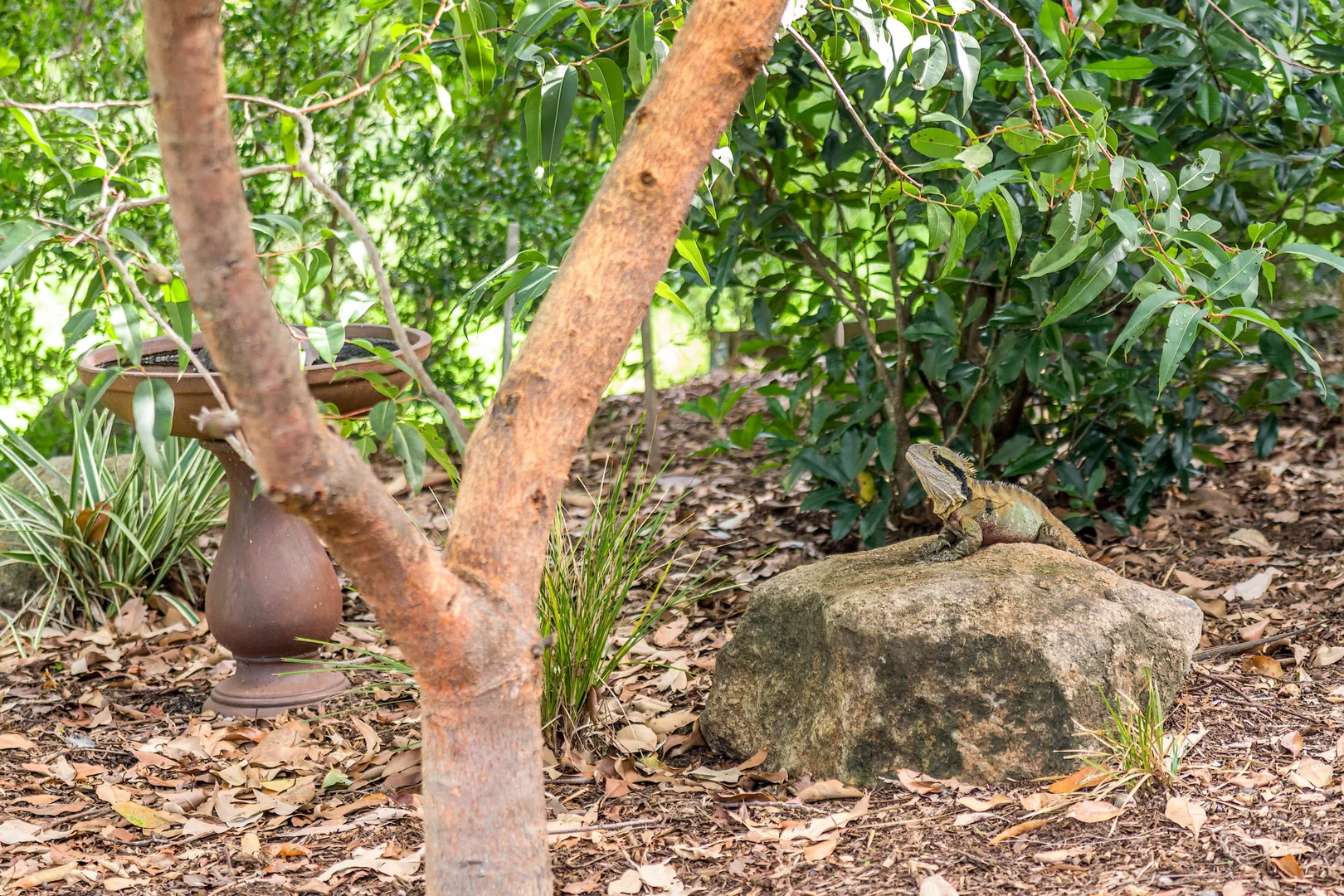 Additional image 38 of 6/31 Hayters Drive, Suffolk Park NSW 2481