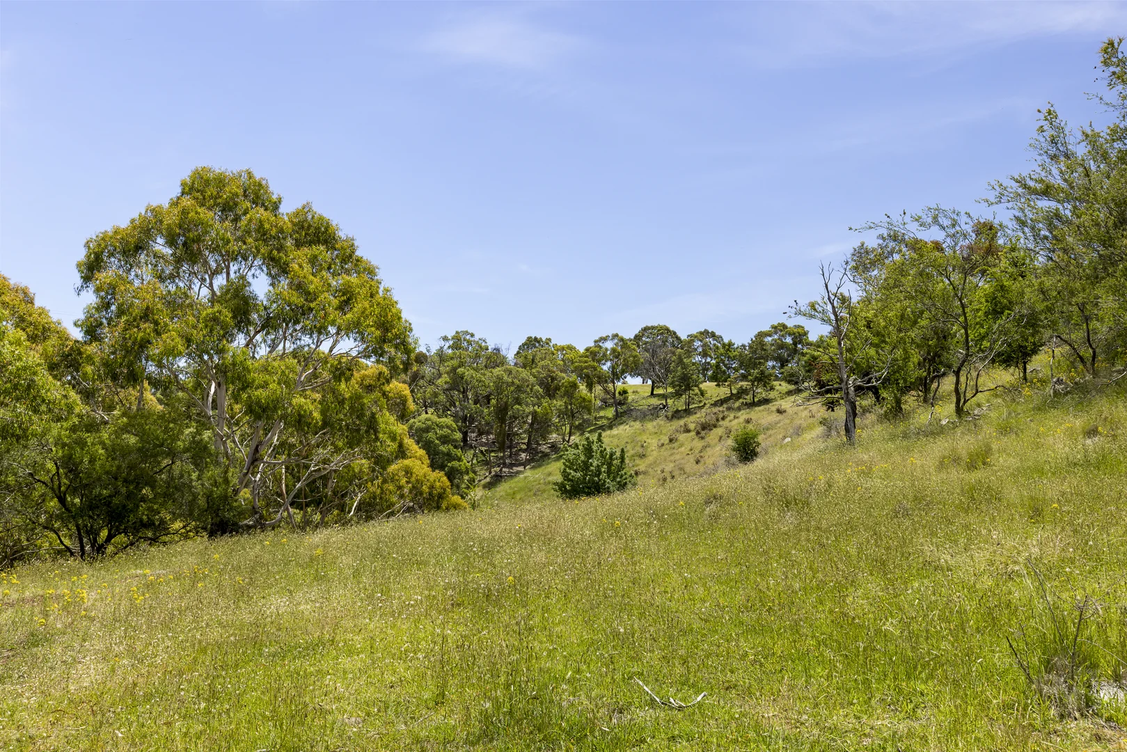 Additional image 24 of 151 Wheelwrights Road, Riddells Creek VIC 3431