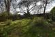 Additional image 8 of Witham Friary, Frome
