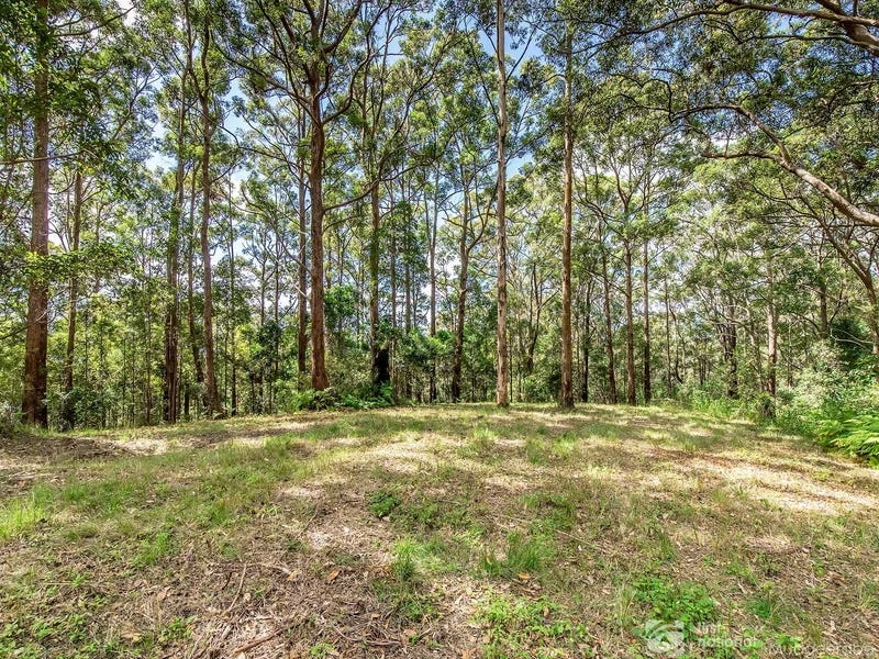 Additional image 7 of 1806 Gold Coast Springbrook Road, Springbrook QLD 4213