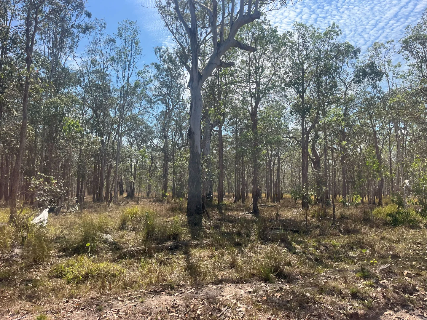 Additional image 49 of Blunder Park Station 382 Blunder Park Road, Ravenshoe QLD 4888