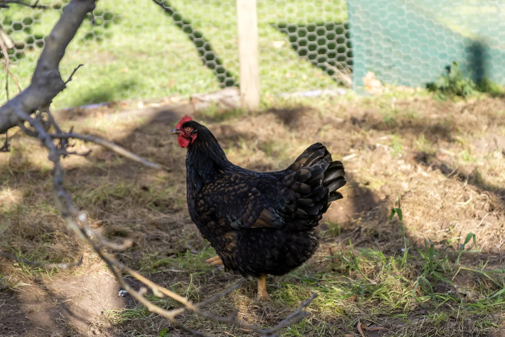 Additional image 26 of 30 Malpas Drive, Wallington VIC 3222