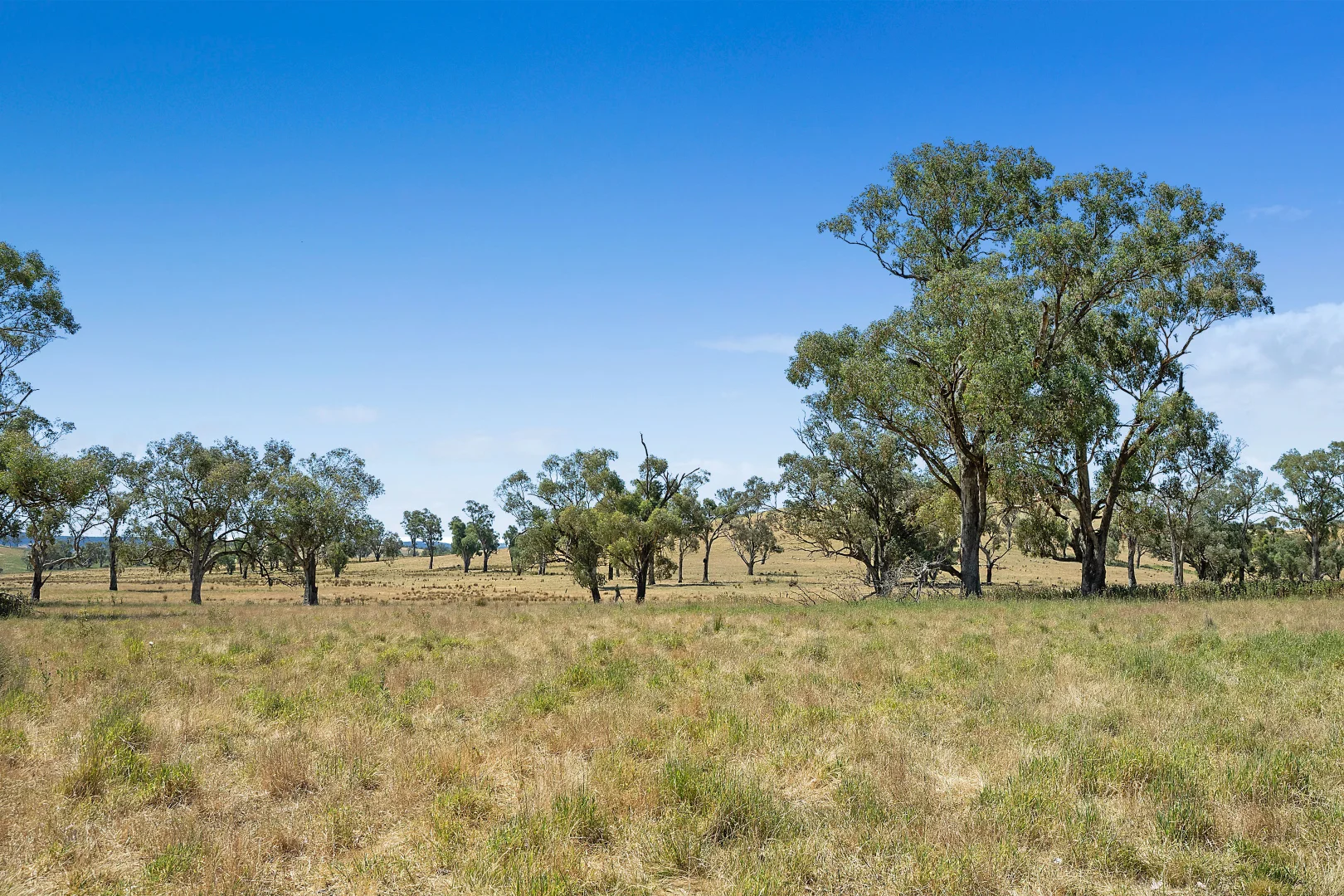 Additional image 24 of 2593 Four Mile Creek Road, Orange NSW 2800