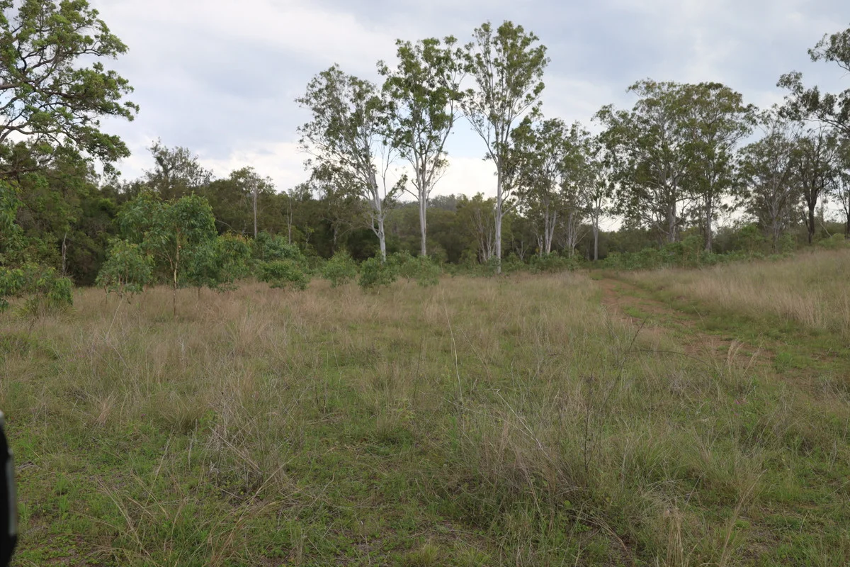 Additional image 8 of 479 Pine Mountain Creek Road, Monto QLD 4630
