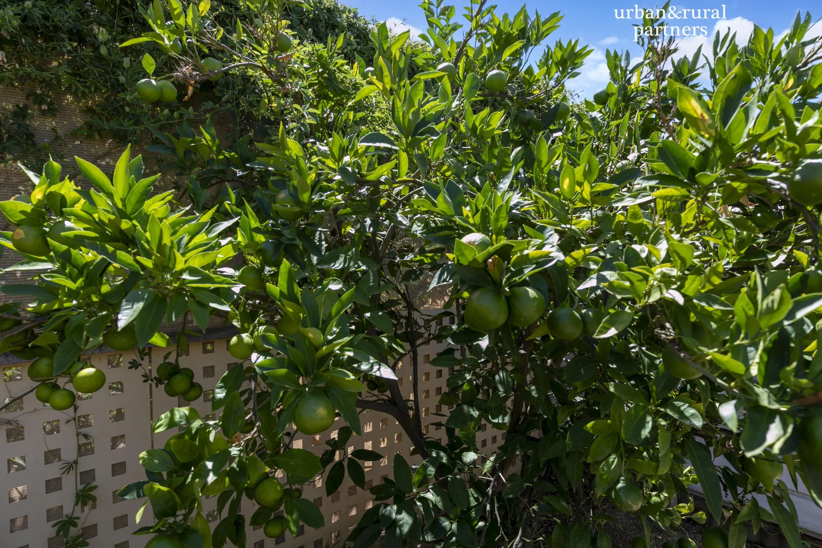 Additional image 10 of 17 Gouge Street, Morgan SA 5320