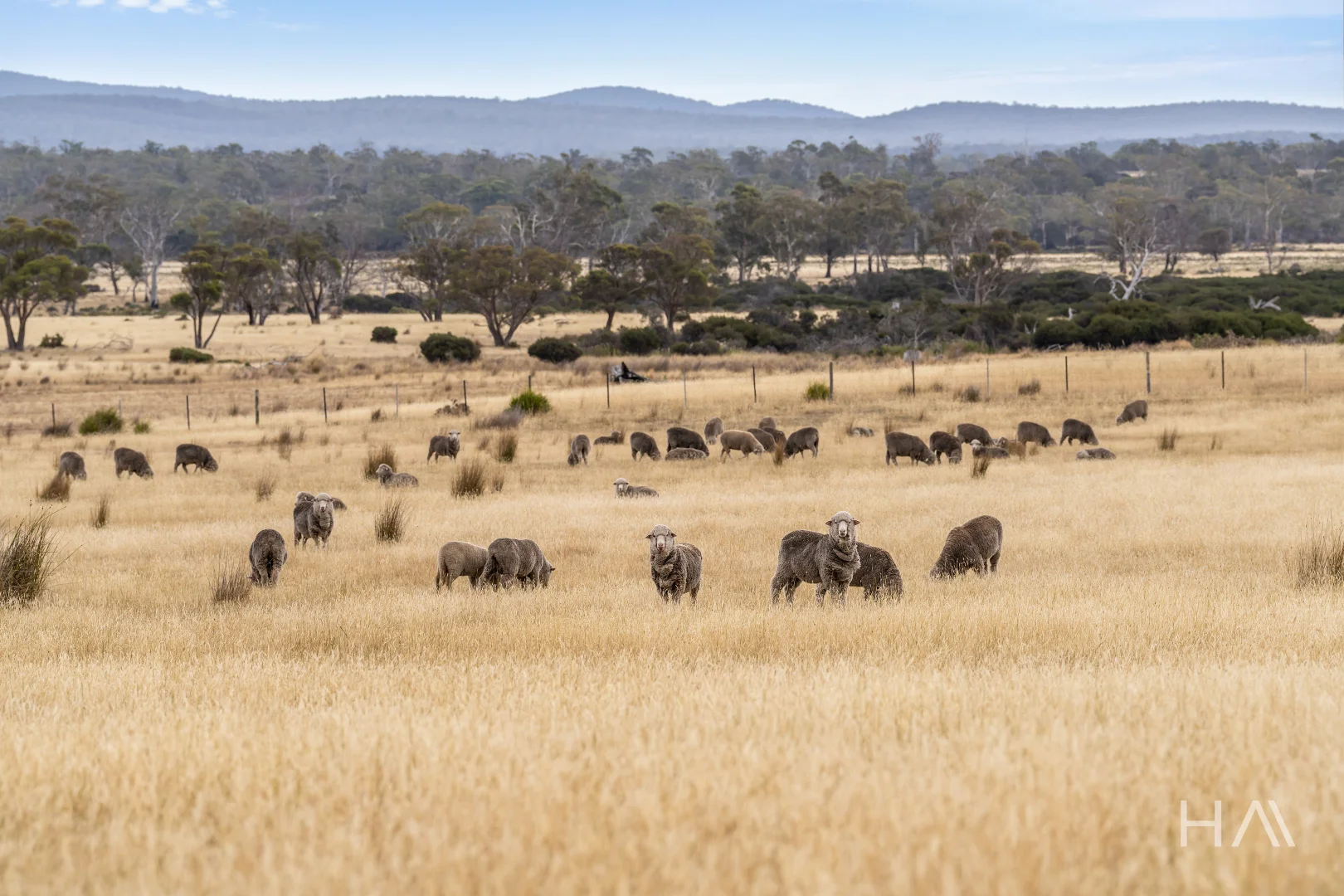 Additional image 3 of Lot 50 Springs Road, Swansea TAS 7190