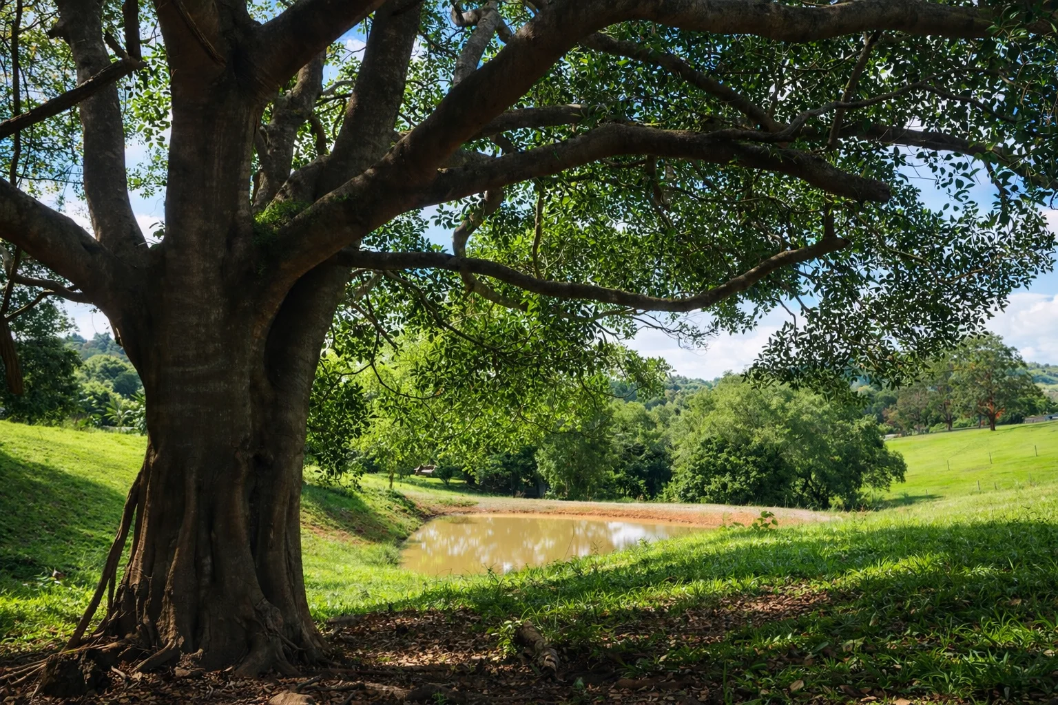 Additional image 5 of 205 Allen Road, Chatsworth QLD 4570