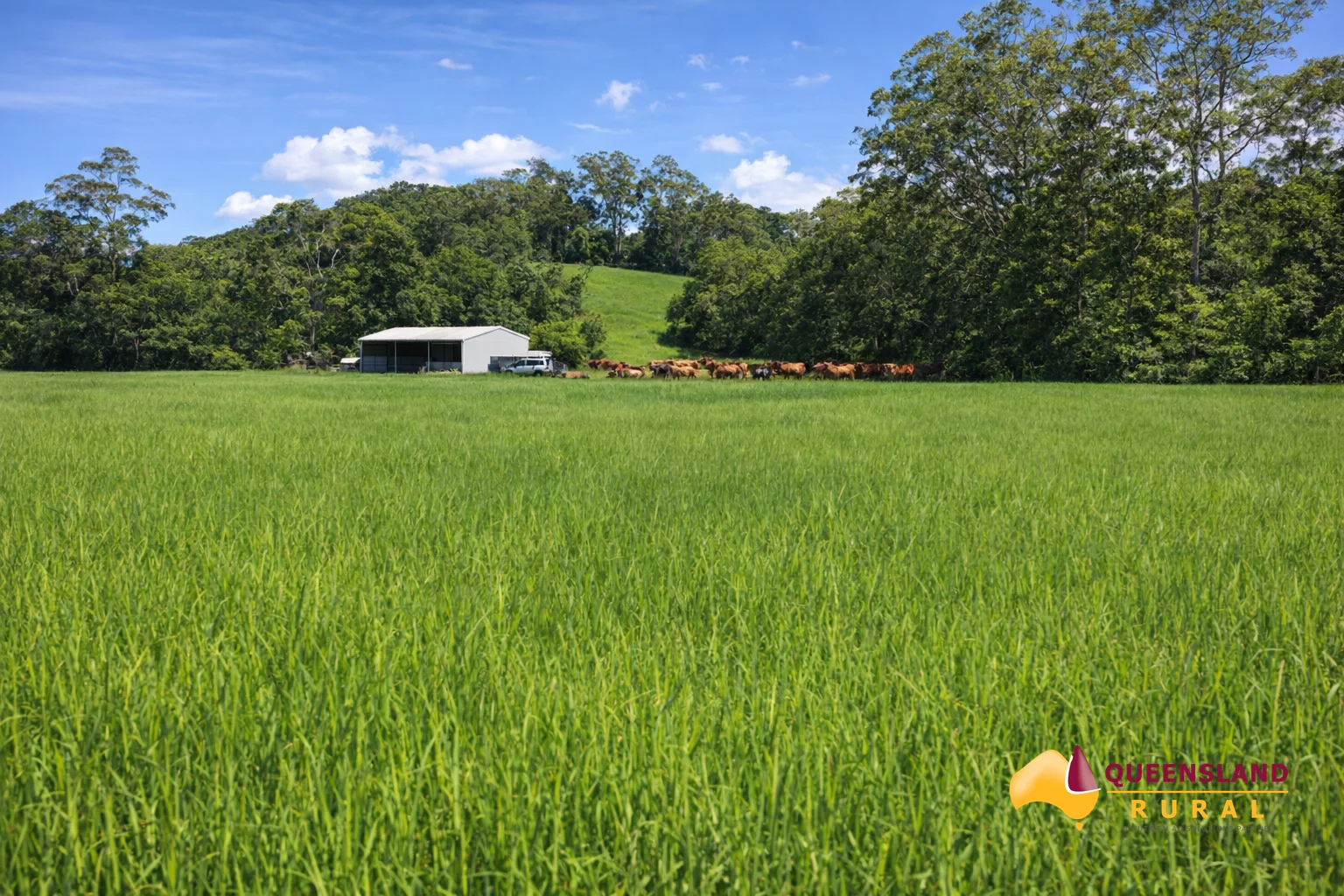 Additional image 3 of Bombeeta QLD 4871