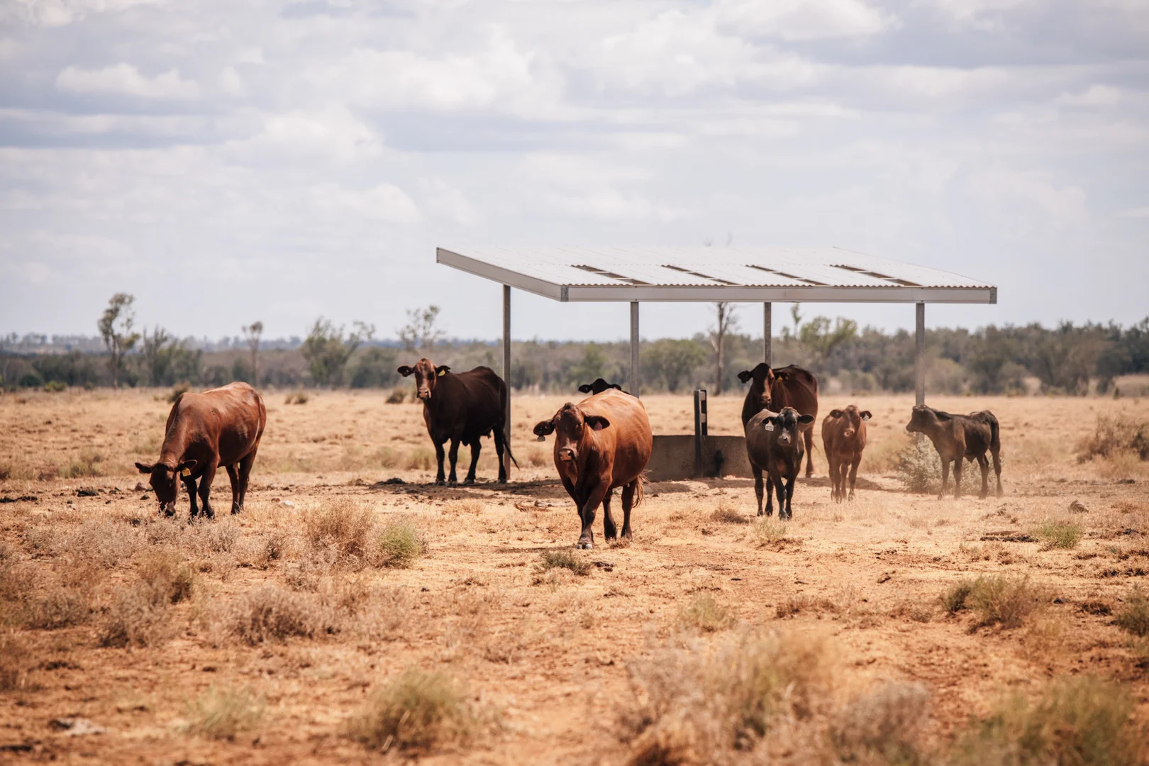 Additional image 5 of Tingun QLD 4455