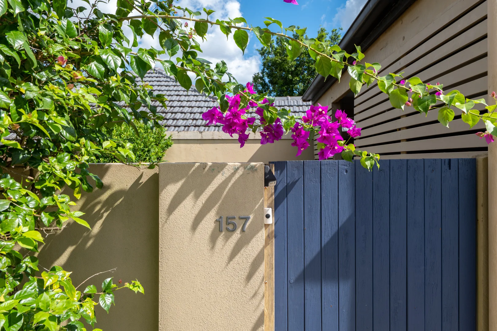 Additional image 20 of 157 Banks Street, Alderley QLD 4051