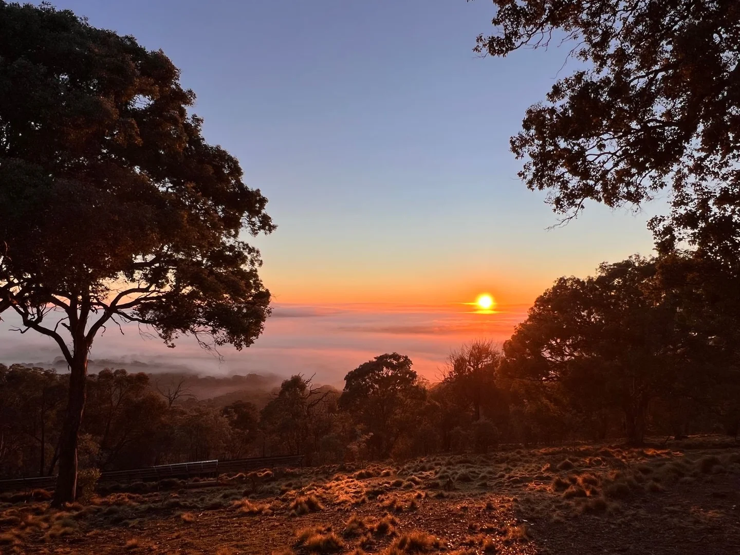 Additional image 17 of 308 Widgiewa Road, Carwoola NSW 2620