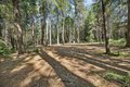 Additional image 52 of 28245 Big Dipper Rd, Colfax, CA, 95713