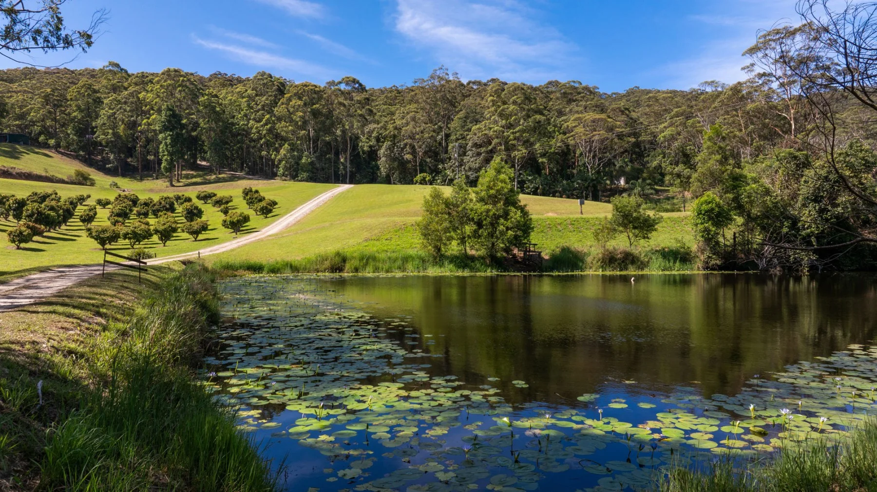 83 Kinki Spur Road, Yarrahapinni NSW 2441