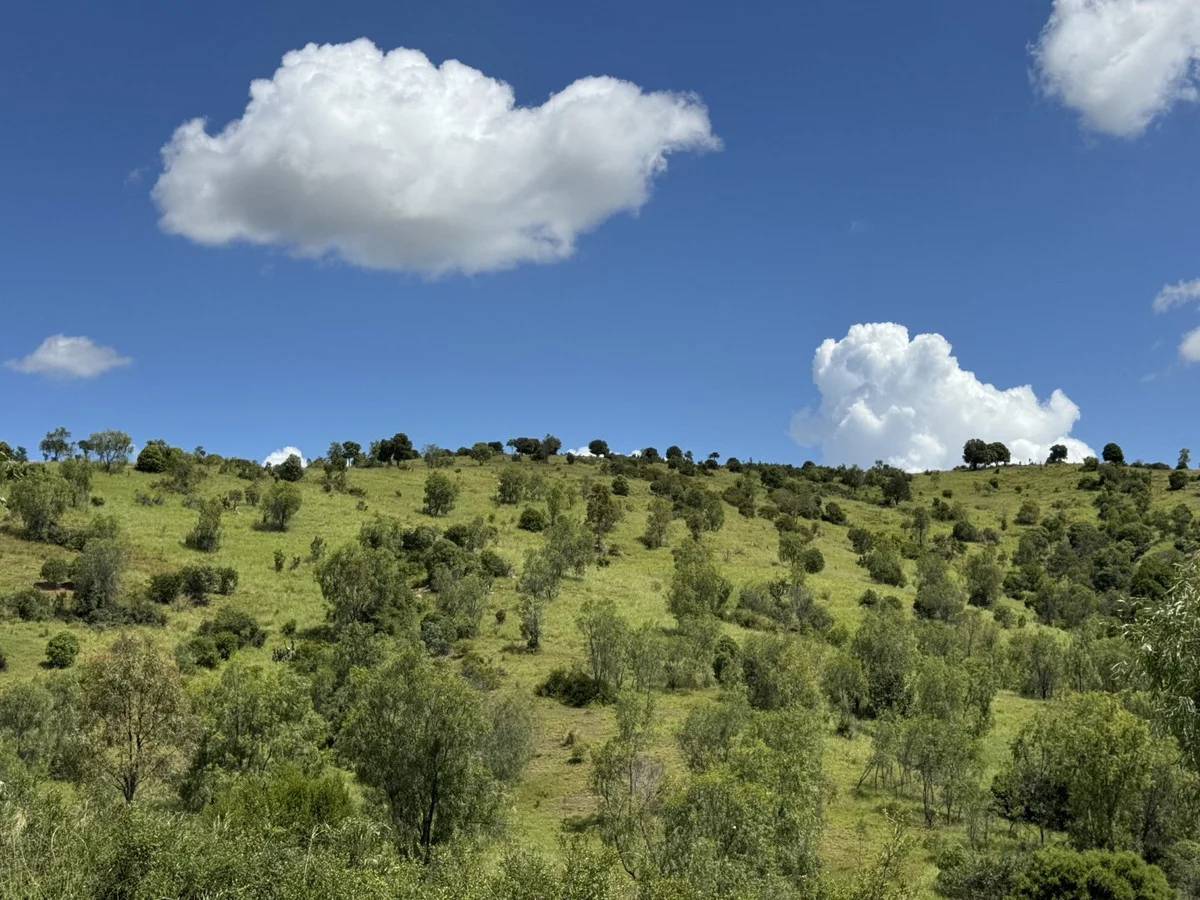 Additional image 14 of "Mustons" Frawleys Road, Thangool QLD 4716