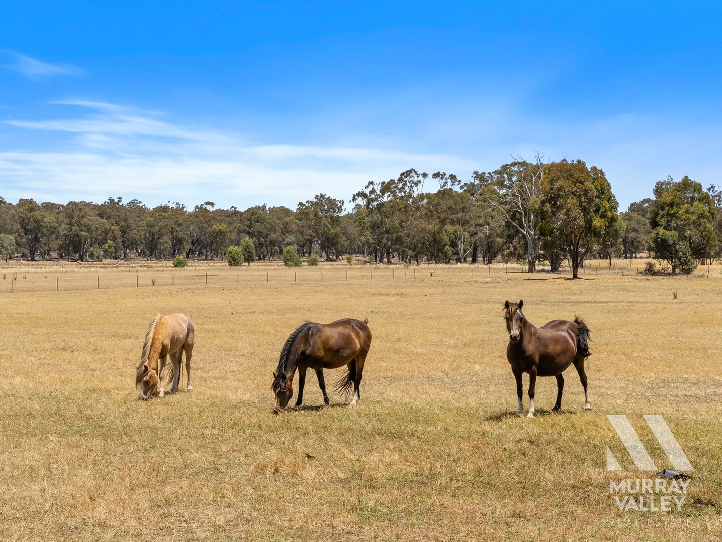 Additional image 28 of 63 Savage Street, Lake Rowan VIC 3727