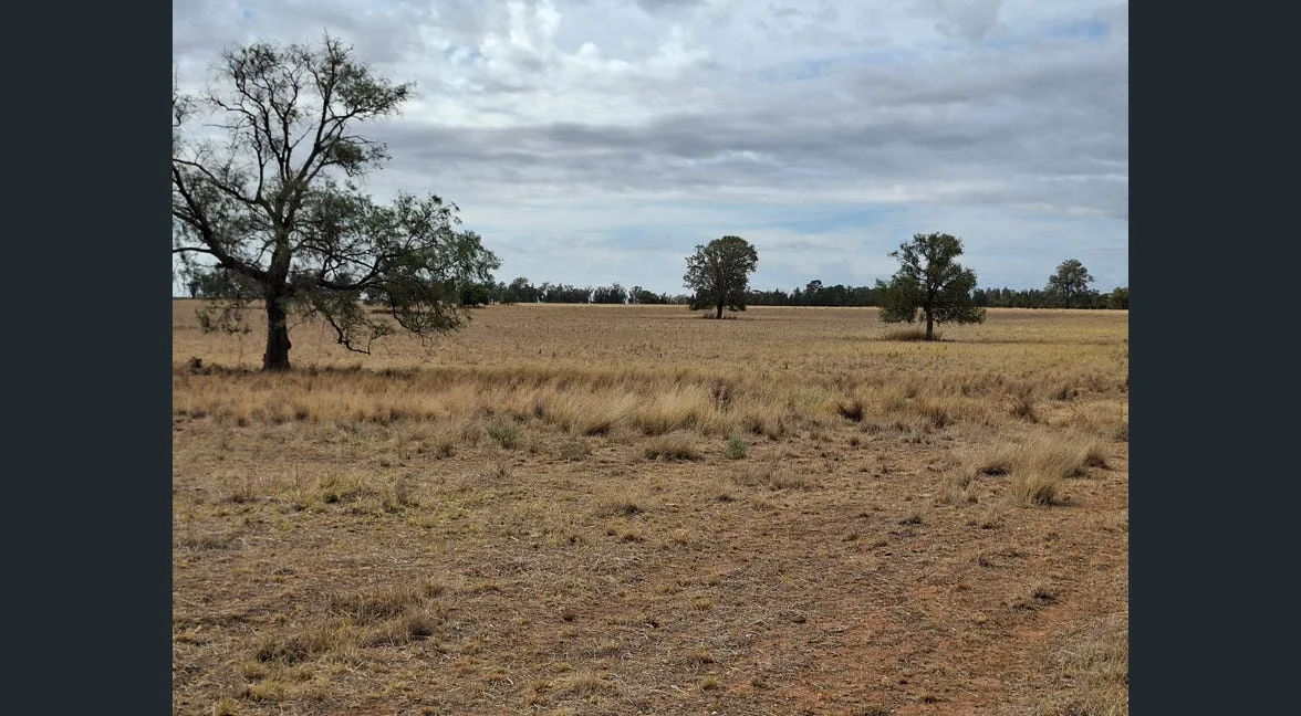 Additional image 29 of Alloway, Gilgandra NSW 2827