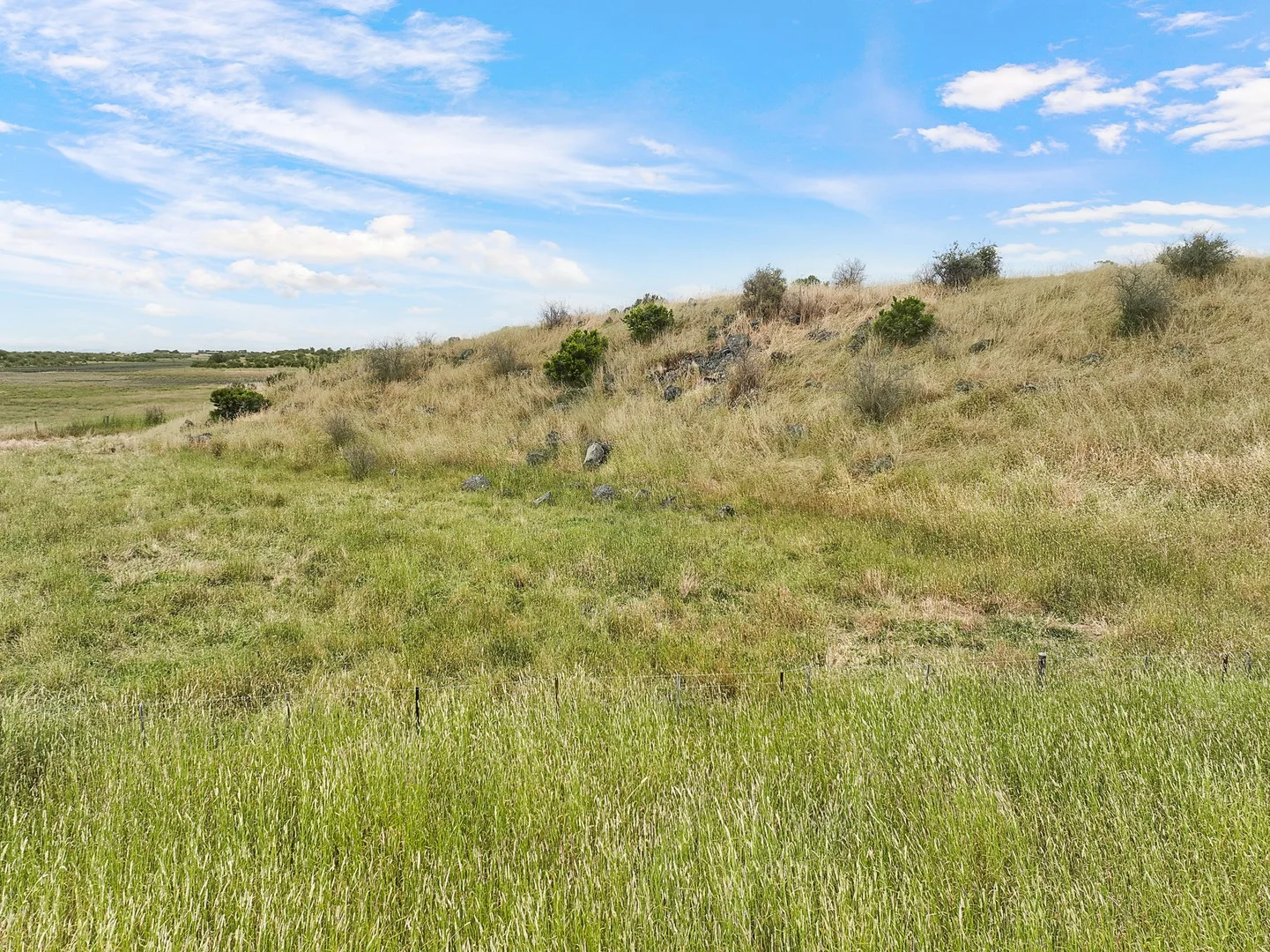 Additional image 3 of Dreeite VIC 3249