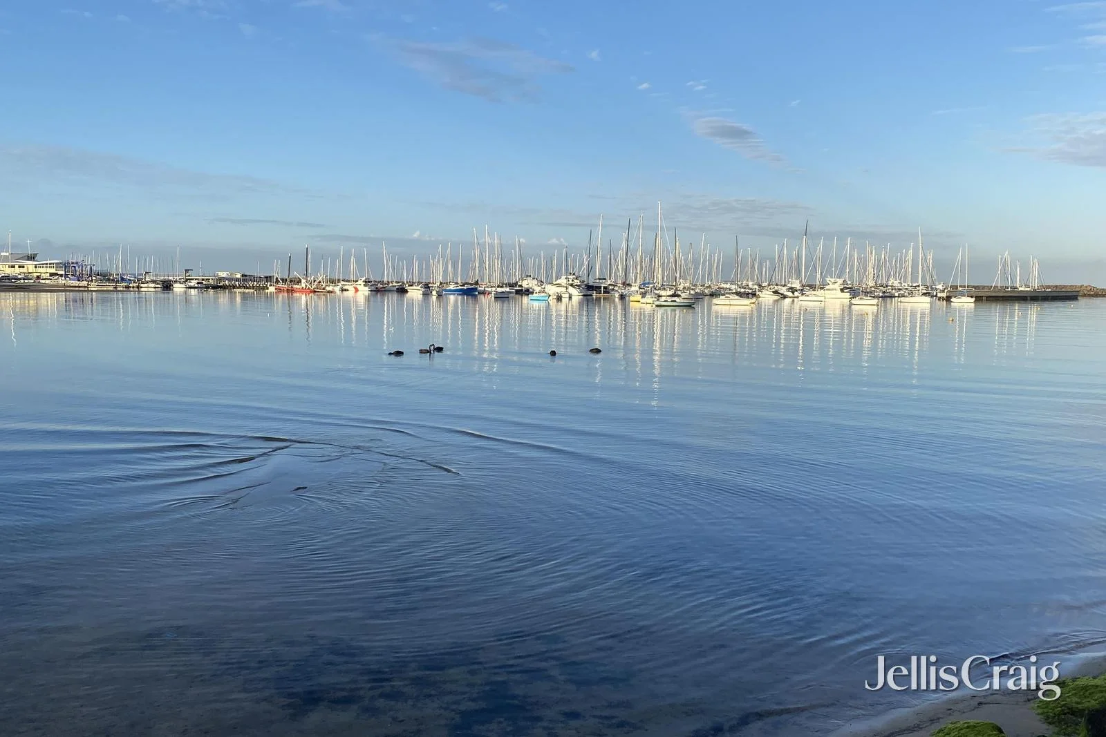 Additional image 11 of 6/56 Beach Road, Hampton VIC 3188